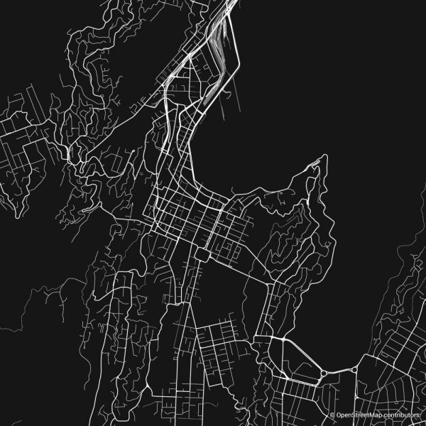 wellington figure ground diagram Schwarzplan